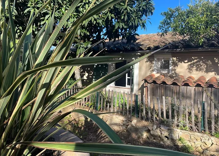 Authenticite Serenite Au Coeur Des Vignes Maison T3 A Villa Ramatuelle