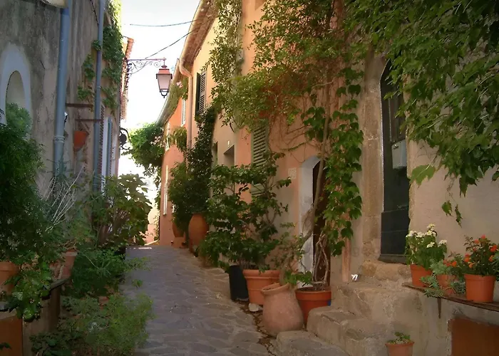 Villa Authenticite Serenite Au Coeur Des Vignes Maison T3 A Ramatuelle