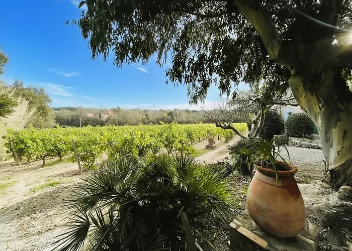 Villa Authenticite Serenite Au Coeur Des Vignes Maison T3 A *