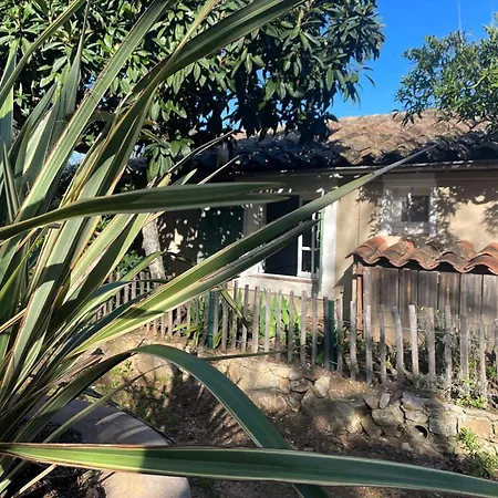Authenticite Serenite Au Coeur Des Vignes Maison T3 A Villa Ramatuelle