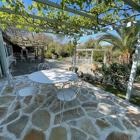 Authenticité Sérénité Au Cœur Des Vignes Maison T3 à Hébergement de vacances Ramatuelle