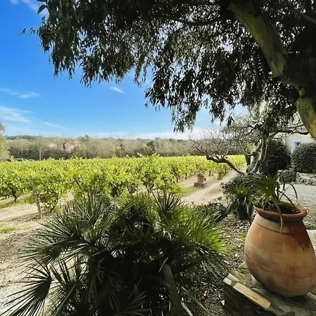 Authenticité Sérénité Au Cœur Des Vignes Maison T3 à Hébergement de vacances